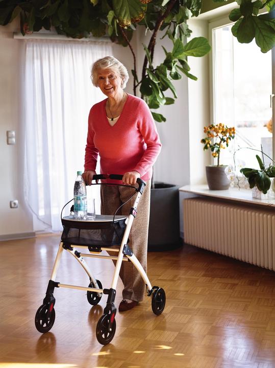 Actual product image Ridder Indoor