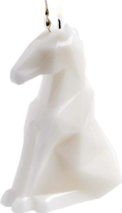 Actual product image 54Celsius PyroPet Einar (1 pcs.)