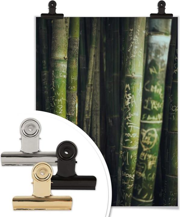 Image du produit Trenddeko Bambou vert (24 x 30 cm)