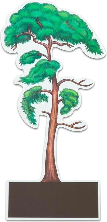 Actual product image Betzold Determine trees made easy (German, 6 - 10 years)