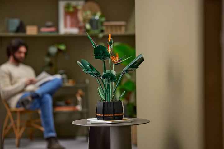 Actual product image LEGO Bird of Paradise (10289, LEGO Rare Sets)