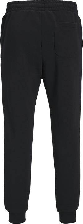 Produktbild Jack & Jones Gordon Bradley Sweat Pants Black (M)