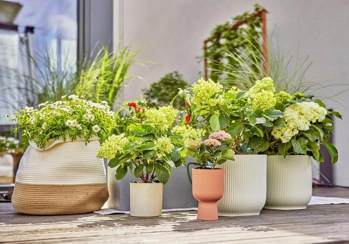 Immagine prodotto Gardena Set di sistemi a microgoccia Terrazza (Set per l'irrigazione a goccia)