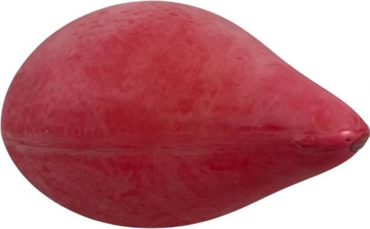 Actual product image Masters Bladder for reflex ball 26 cm PP-SP1-1