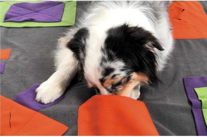 Produktbild Knauder's Best Knauder's Sniffpad 100x100cm (Intelligenzspielzeug Hund)