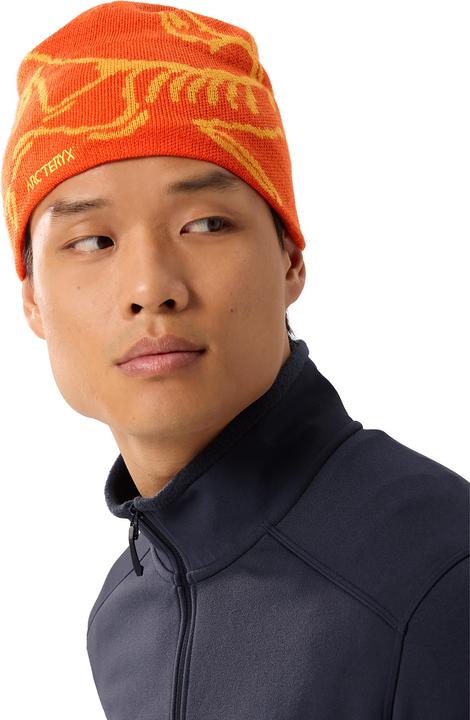 Produktbild Arc'teryx Bird Head (One Size)