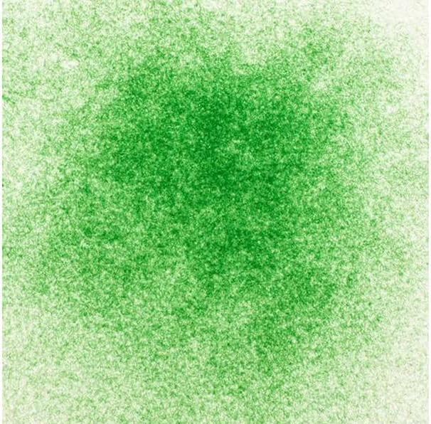 Image du produit Glorex Poudre de velours 11 g, vert
