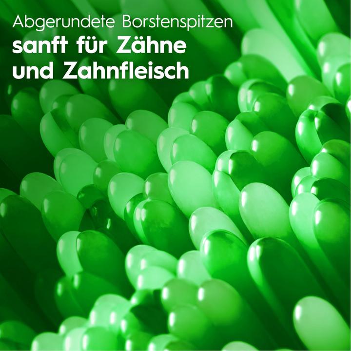 Image du produit Oral-B Pro-Clean 40 Medium 1ct Handzahnbürste (Moyen, 1 x)