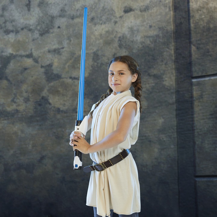 Actual product image Hasbro Star Wars LSF Sword Entry assorted