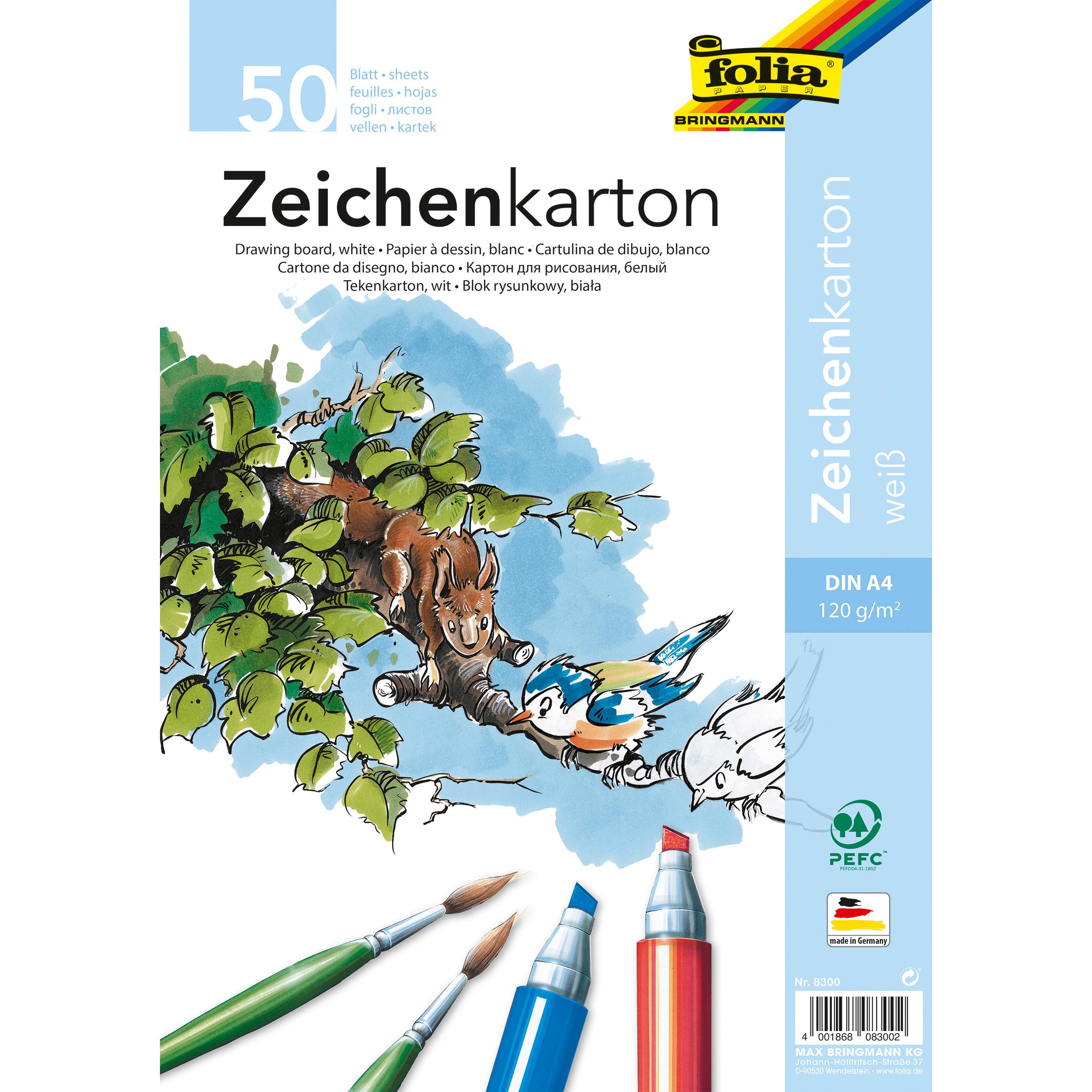 Folia, Bastelpapier, Zeichenkarton (120 g/m², 50 x)
