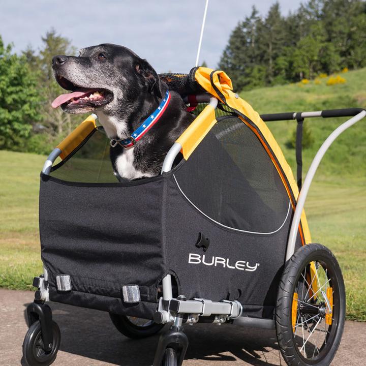 Produktbild Burley Tail Wagon
