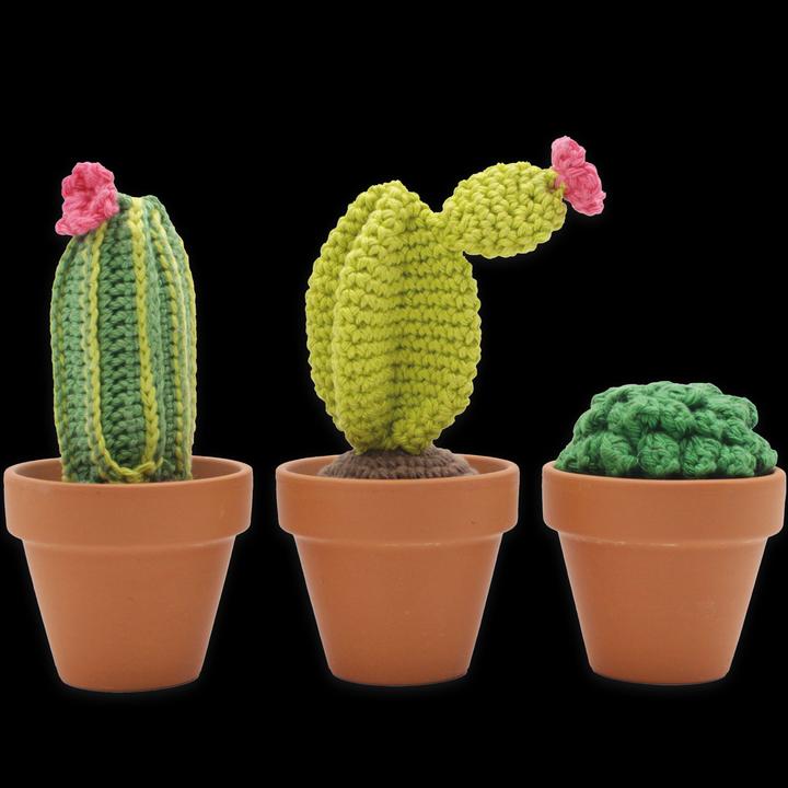 Immagine prodotto Hardicraft Cactus - Set per uncinetto