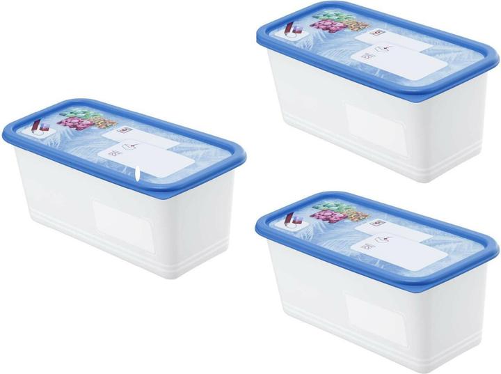 Actual product image Rotho Freezing box (1.50 l)