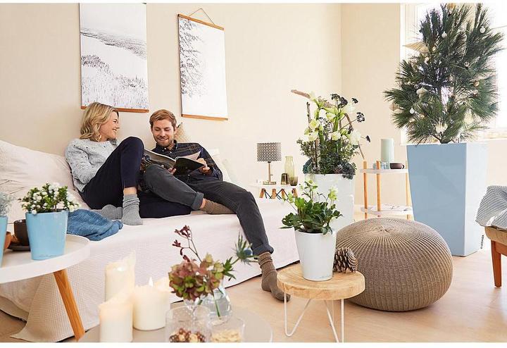 Produktbild Lechuza Deltini (15 cm)