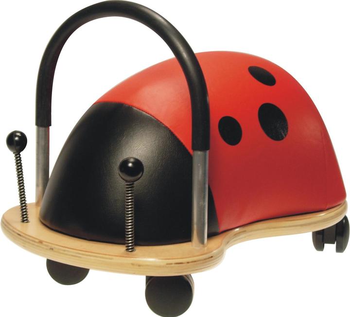 Coccinelle