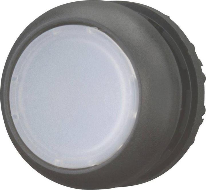 Actual product image Eaton Illuminated push-button, RMQ titanium, flat, 216945