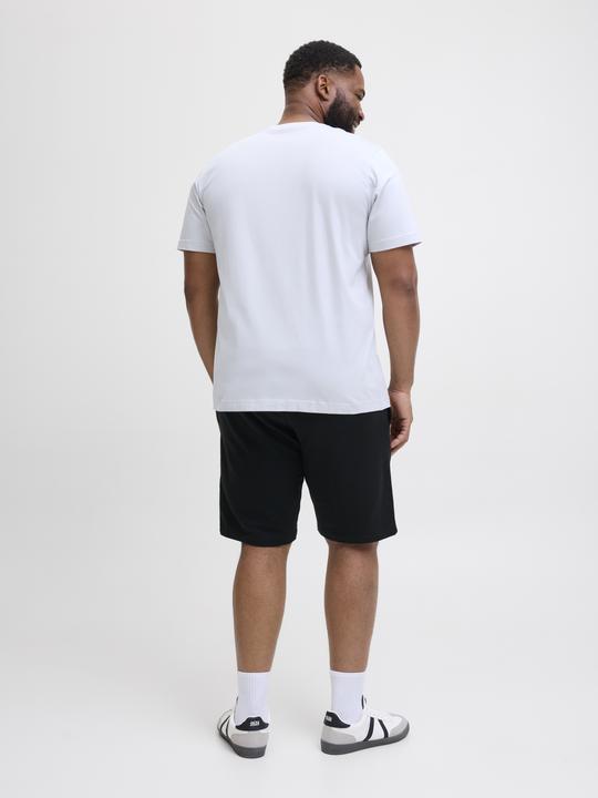 Produktbild Jack & Jones Plus Size Regular Fit Regular Fit Shorts Regular Fit Shorts (40)