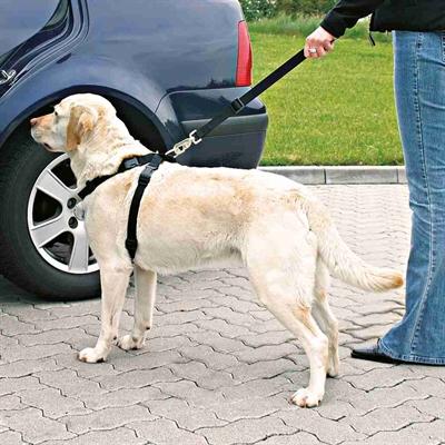 Produktbild Trixie Auto-Geschirr (L, Hund)