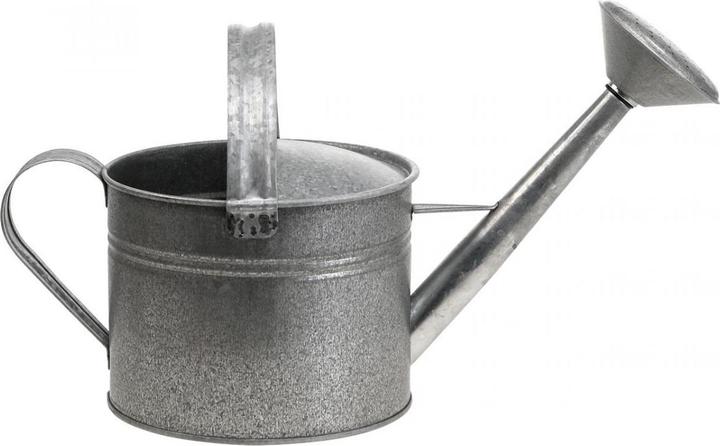 Produktbild Viana Dekorative Giesskanne zum Bepflanzen für Garten und Terrasse (5 l)