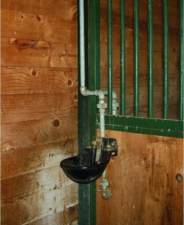 Image du produit Suevia Abreuvoirs Ideal 61