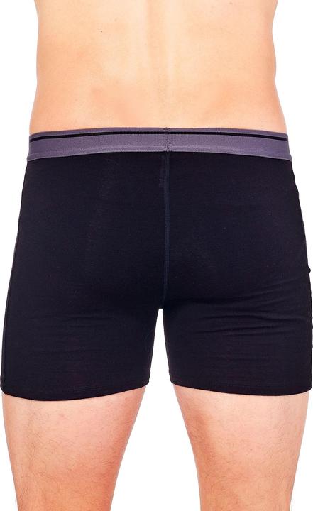 Image du produit Icebreaker Anatomica (S)