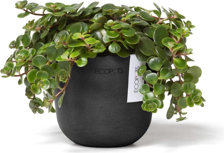 Immagine prodotto Ecopots Oslo Mini (16 cm)