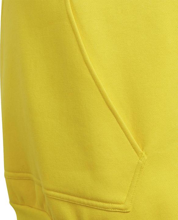 Actual product image adidas Entrada 22 hoodie kids (164)