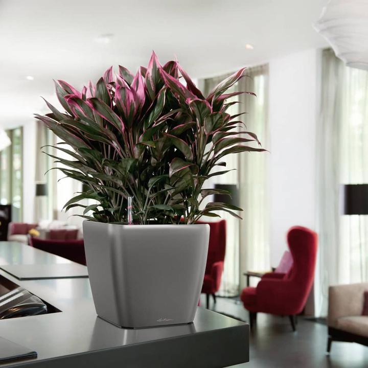 Produktbild Lechuza Quadro LS (43 x 43 x 39 cm)