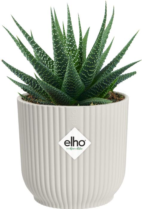 Actual product image Elho Vibes Fold Rund Mini (9.30 cm)