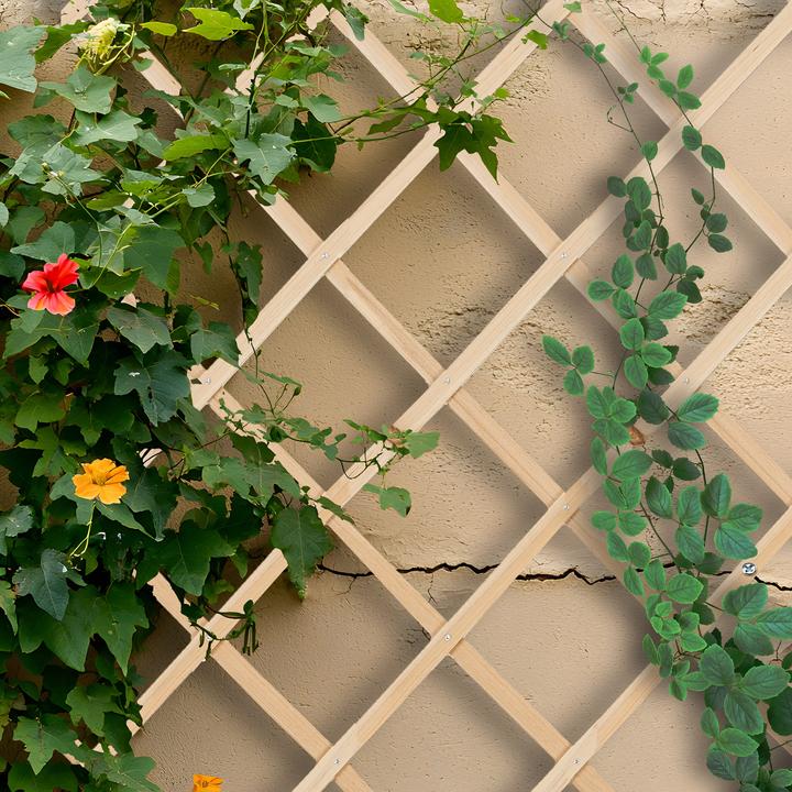 Actual product image Relaxdays 3x trellis (1 cm, 46 cm)