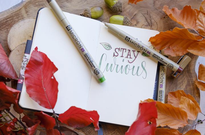 Actual product image Sakura Sketch Notebook (9 x 14 cm, Plain)