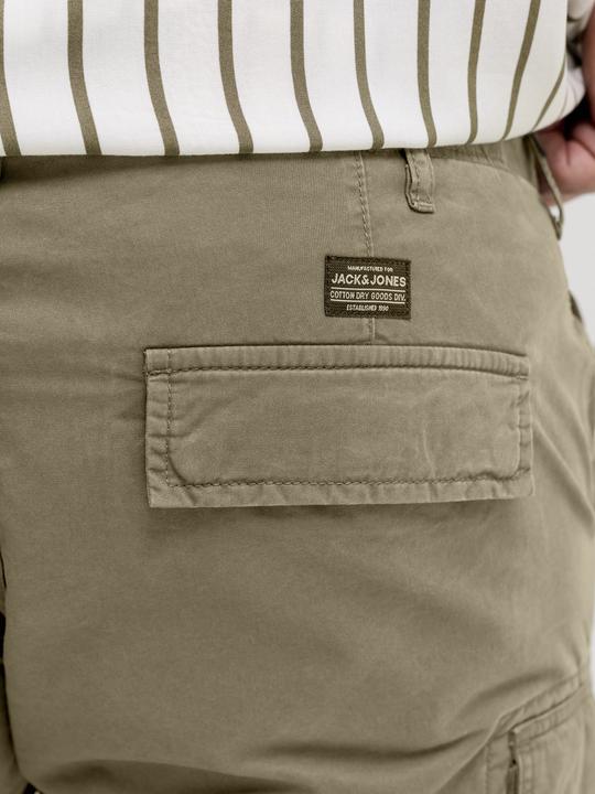 Image du produit Jack & Jones Plus Size Relaxed Fit Cargo Shorts Cargo Shorts (46)
