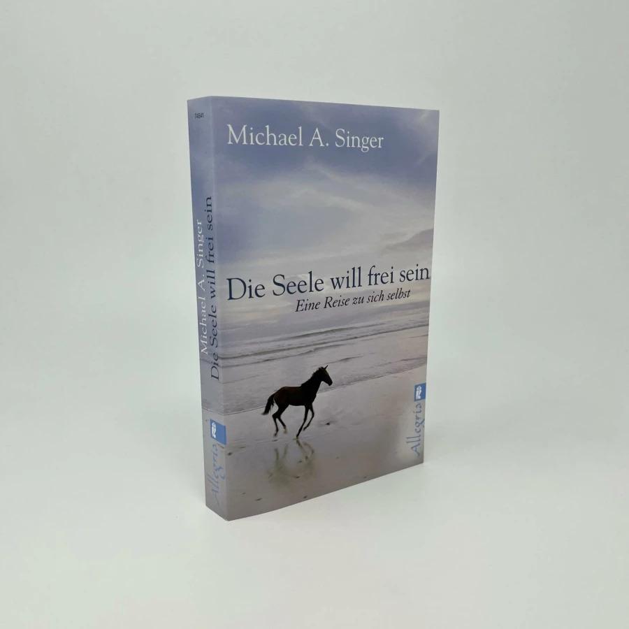 Thumbnail - Die Seele will frei sein, Ratgeber von Michael A. Singer