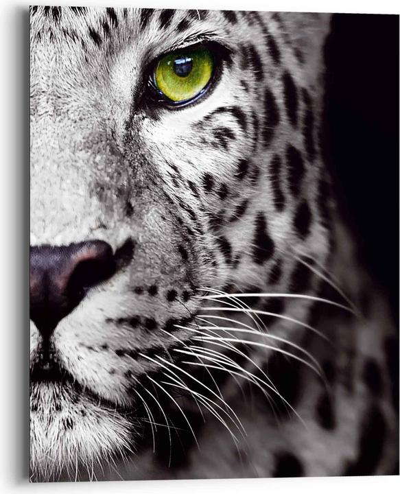 Produktbild Eibert Visual Bilder (40 x 50 cm)