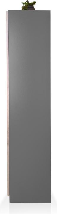 Actual product image Möbel-Eins Office (80 x 40 x 159.80 cm)