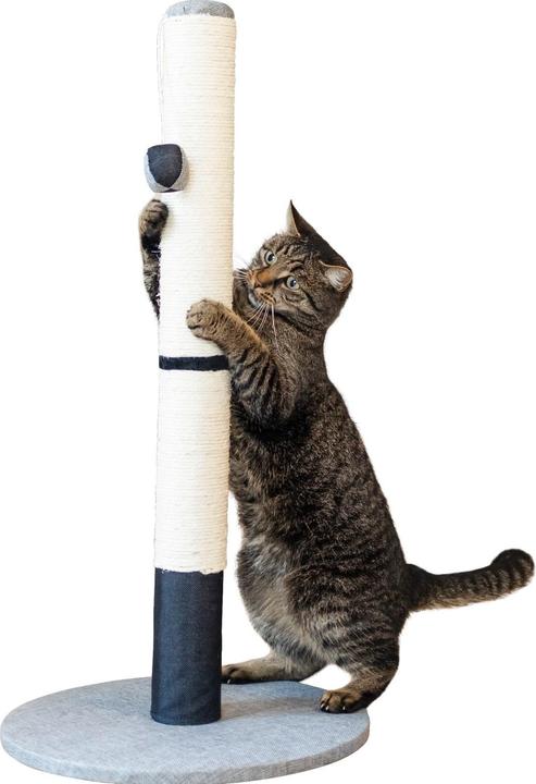 Actual product image Kerbl Opal Pro (80 cm, Black, Grey)