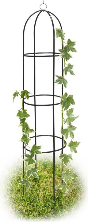 Actual product image Relaxdays Rankobelisk (40 cm, 40 cm)