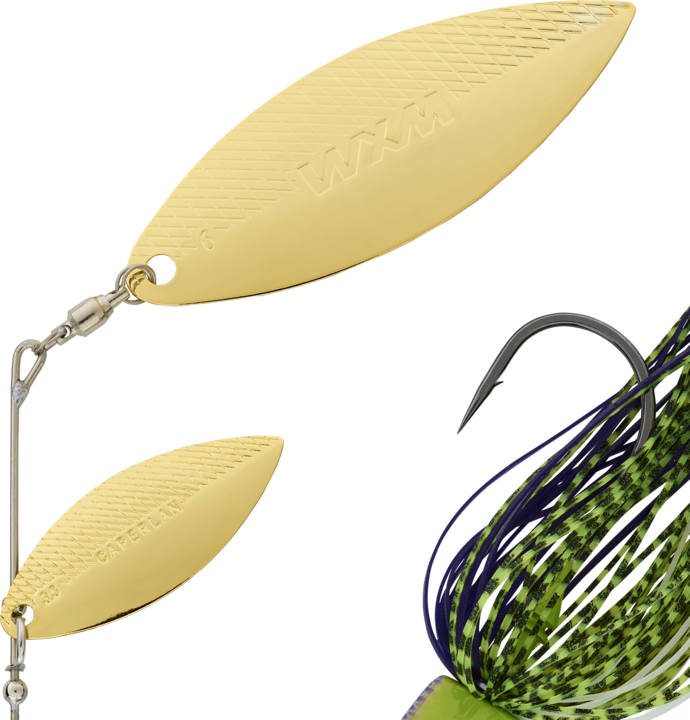 Actual product image Caperlan Spino Pk (15.60 cm)