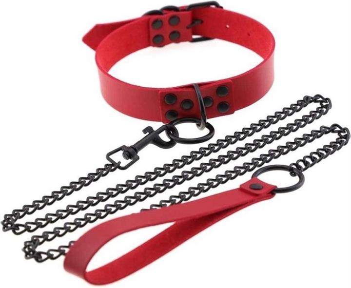 Image du produit Protect Expert Collier de cou avec laisse "Bad Dog