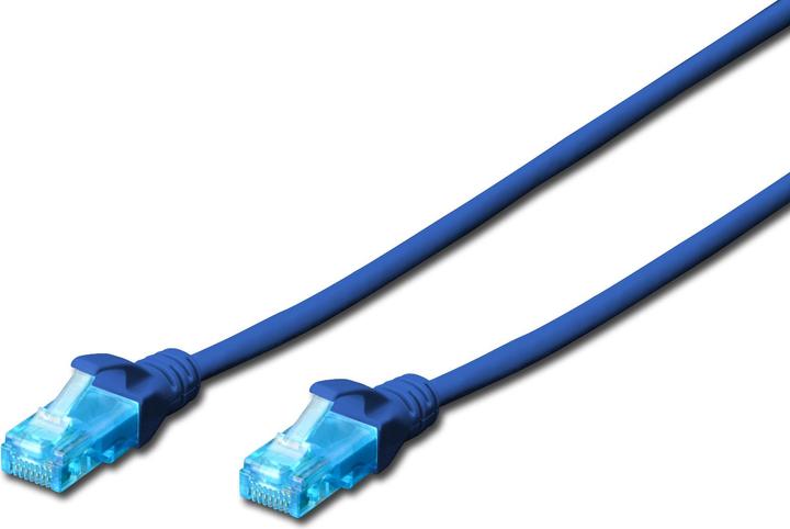 Actual product image Digitus CAT 6A S/FTP Patchkabel, 10 pieces (S/FTP, CAT6a, 0.25 m)