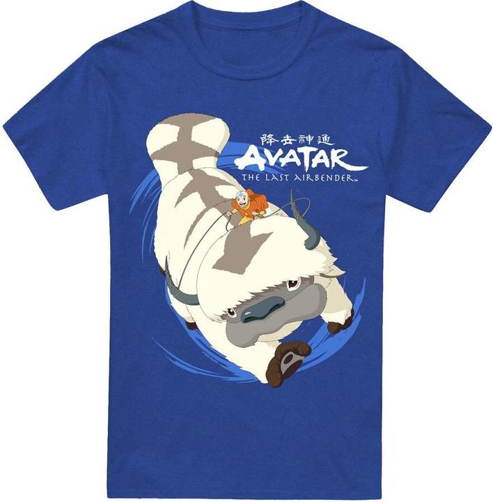 Produktbild Avatar: The Last Airbender In Flight TShirt (3XL)