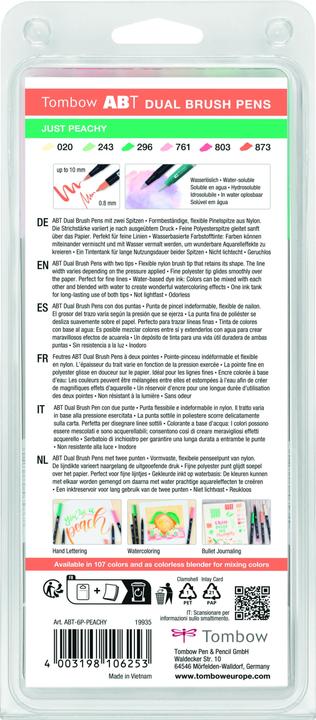 Actual product image Tombow Dual Brush Pen Etui (6 x)