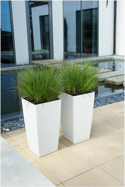Actual product image Lechuza Cubico Color (39.50 cm)