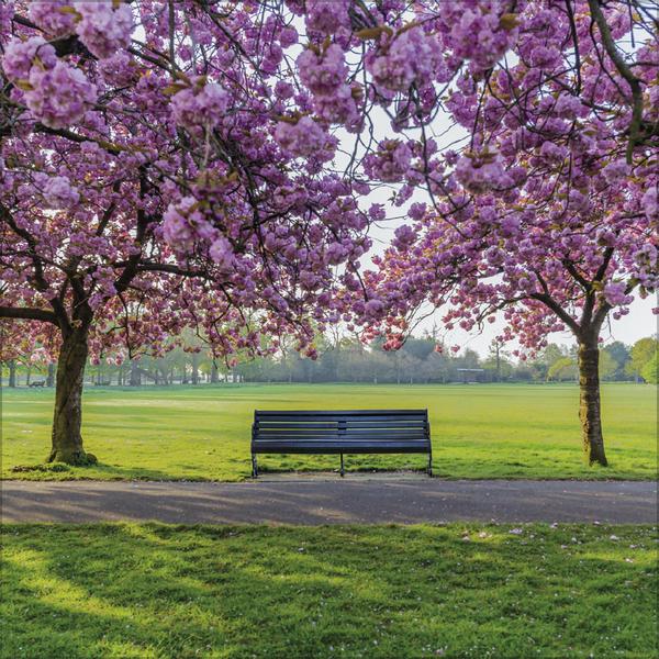 Actual product image Augenblicke der Stille 2026 (30 x 30 cm)