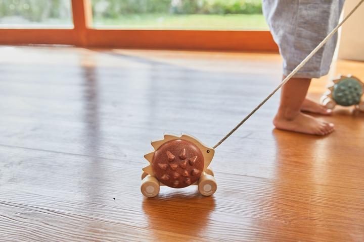 Produktbild Plantoys Houten Speelgoed Trek-Egel - Bruin