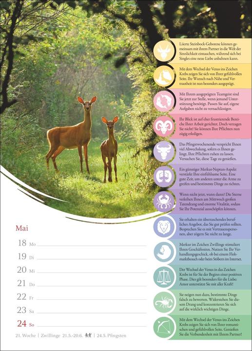 Produktbild Harenberg Horoskope Wochenkalender 2026 - Wochenkalender mit Prognosen für alle Sternzeichen