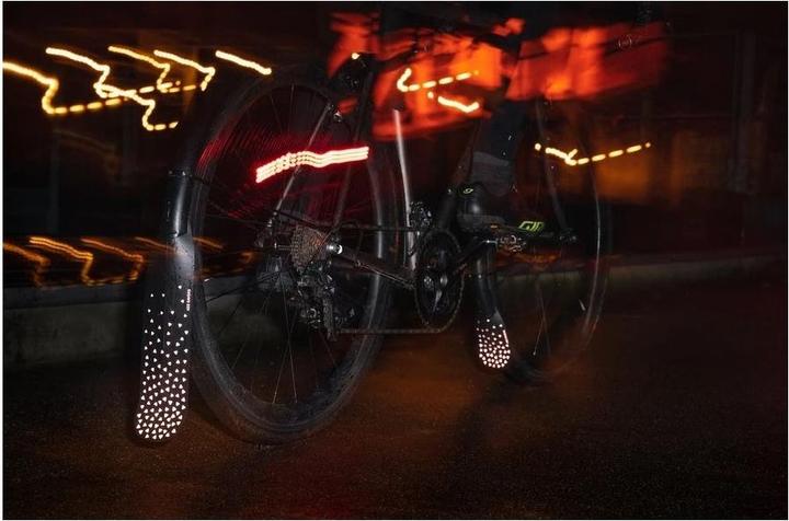 Actual product image Ass Savers TFR-1 Toetector Regular - Reflective (Front mudguard)