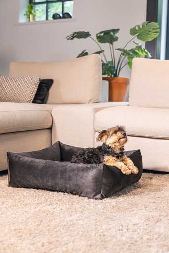 Image du produit Designed by Lotte Lit de repos Ribbed (Chien)