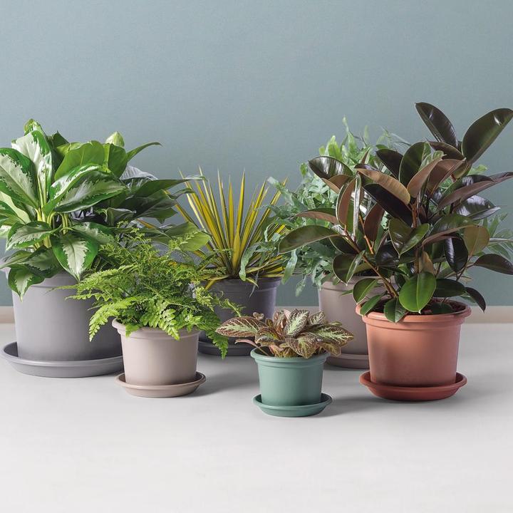 Actual product image Euro3plast Planter (25 cm)