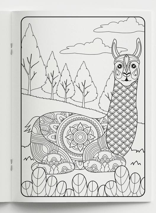 Produktbild Mein Mandala Malbuch